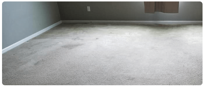 End of Lease Carpet Cleaning Kambah