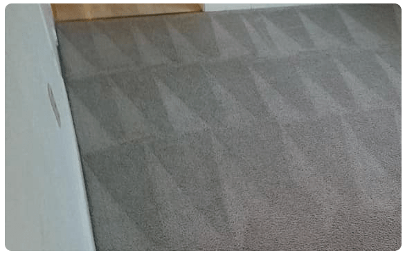 Residential Carpet Cleaning Services in Kambah